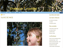 Tablet Screenshot of domaine-lessatini.com